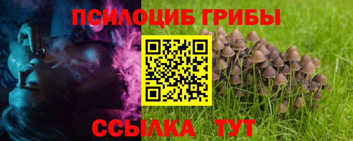 Галлюциногенные грибы Psilocybine cubensis  хочу наркоту  Котельники  Вход с VPN 